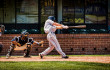 Bay Bears vs Stars